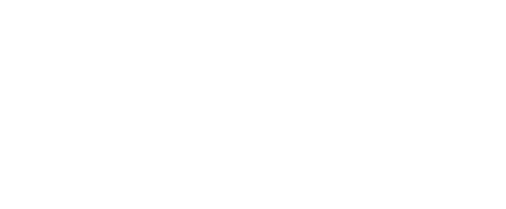 logo-11
